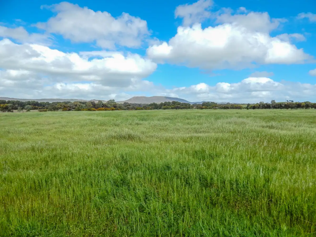 Main view of Homely land listing, LOT 15, 5897 Flinders Highway, Coulta SA 5607