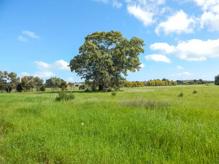 Main view of Homely land listing, LOT 17, 5897 Flinders Highway, Coulta SA 5607