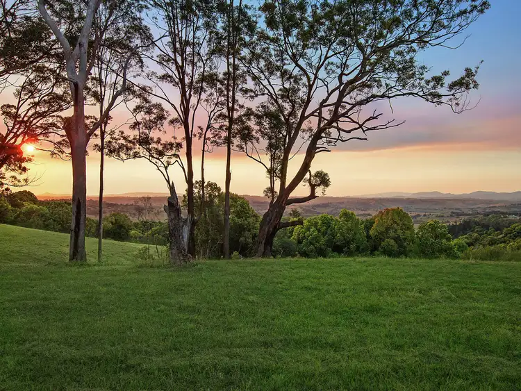 289 Cowlong Road, Mcleans Ridges NSW 2480