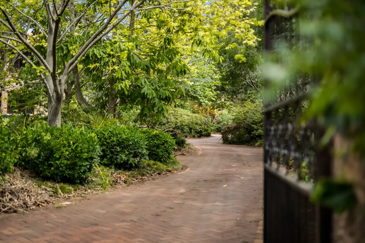 Main view of Homely house listing, 50-56 Spring Street, Middle Ridge QLD 4350