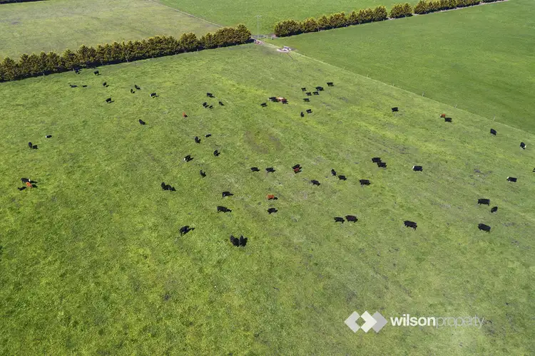 Fourth view of Homely rural property listing, LOT 1, 105 Riggalls Road, Glengarry VIC 3854