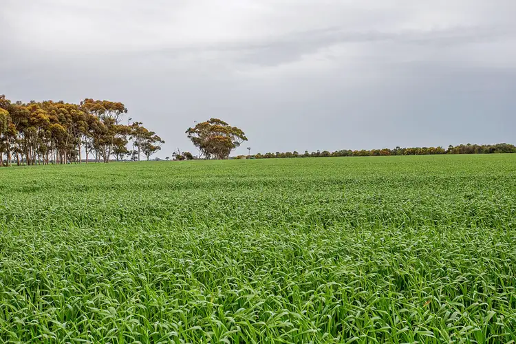Main view of Homely rural property listing, 825 Gnarpurt Road, Lismore VIC 3324