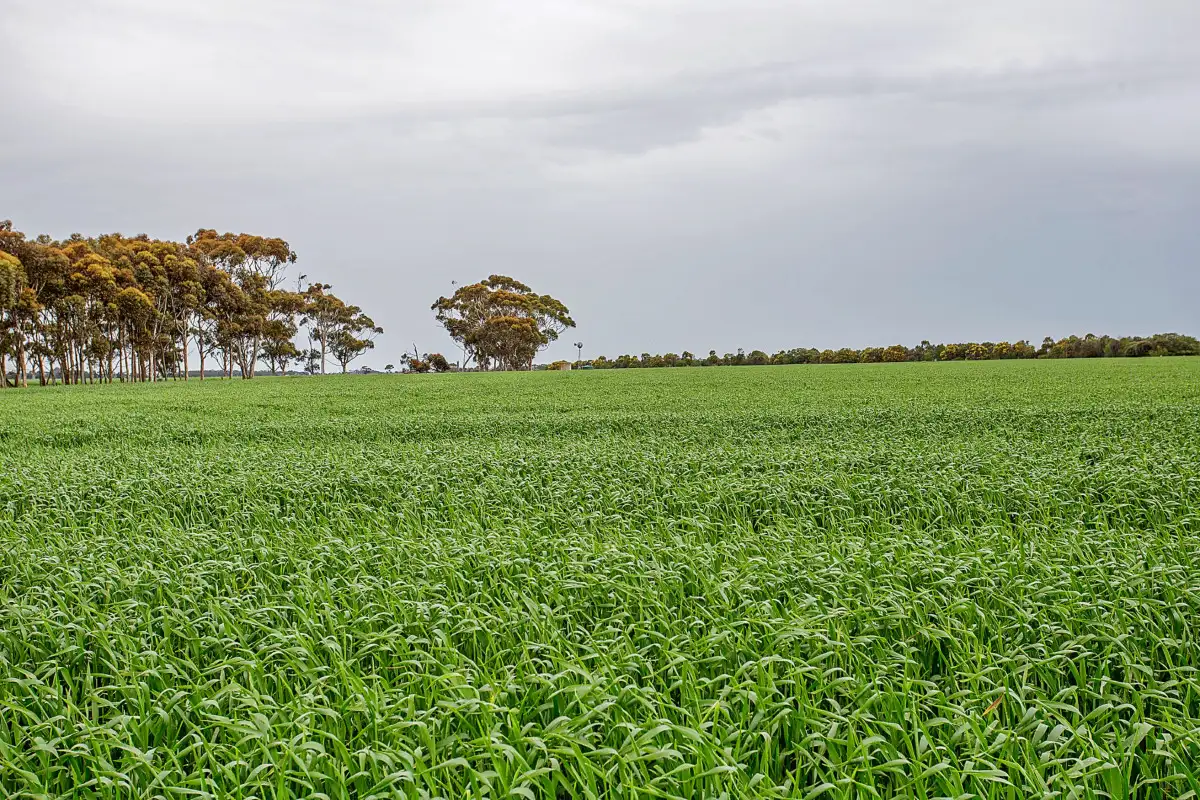 Main view of Homely rural property listing, 825 Gnarpurt Road, Lismore VIC 3324