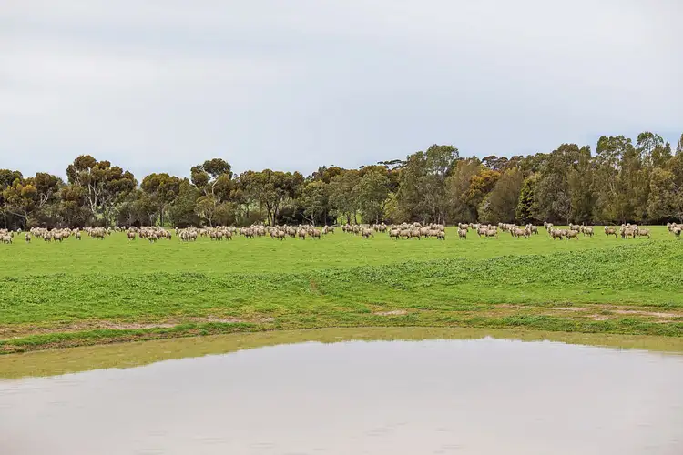 Second view of Homely rural property listing, 825 Gnarpurt Road, Lismore VIC 3324