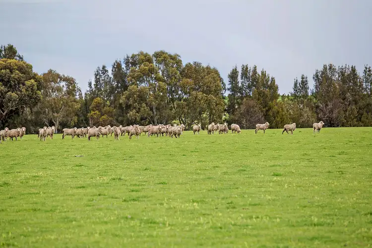 Fourth view of Homely rural property listing, 825 Gnarpurt Road, Lismore VIC 3324