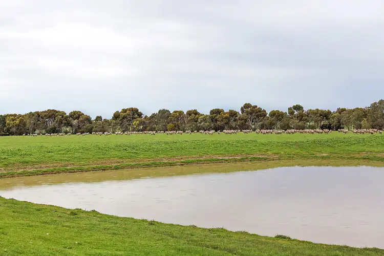 Fifth view of Homely rural property listing, 825 Gnarpurt Road, Lismore VIC 3324