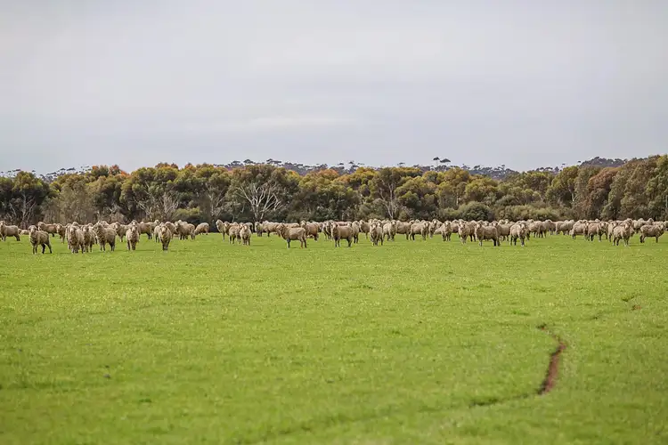 Sixth view of Homely rural property listing, 825 Gnarpurt Road, Lismore VIC 3324