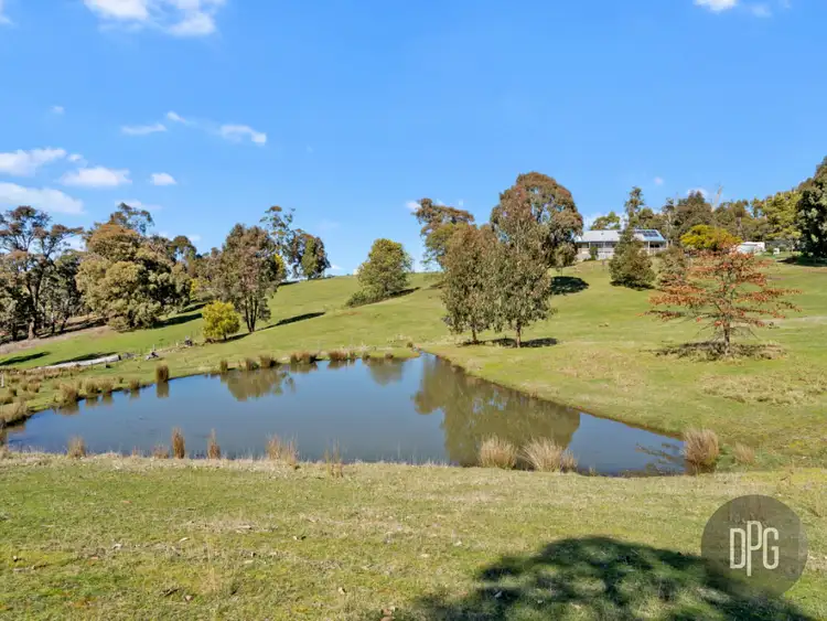 Second view of Homely rural property listing, 1180 Old Tolmie Road, Tolmie VIC 3723