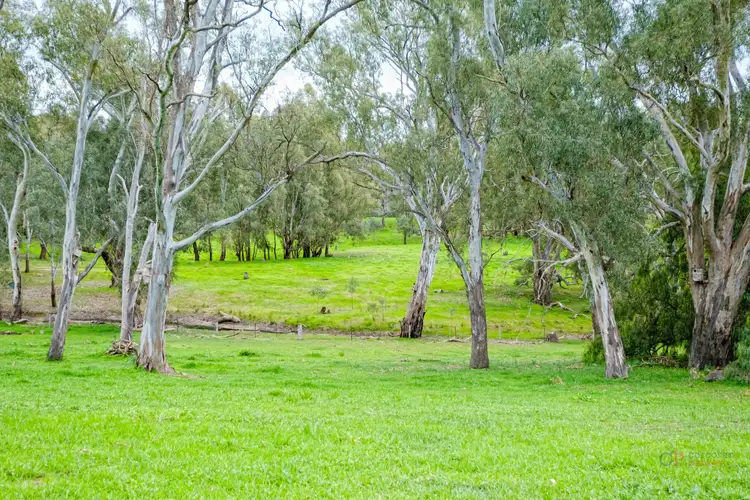 Sixth view of Homely rural property listing, 604 O'Donoghues Road, Wahgunyah VIC 3687