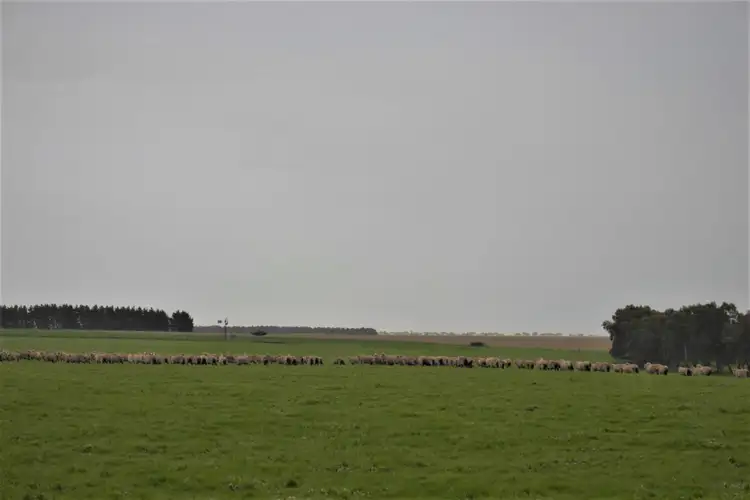 Second view of Homely rural property listing, 105 Potters Road, Cressy VIC 3322