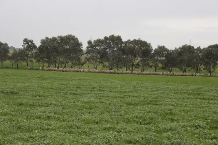 Fourth view of Homely rural property listing, 105 Potters Road, Cressy VIC 3322