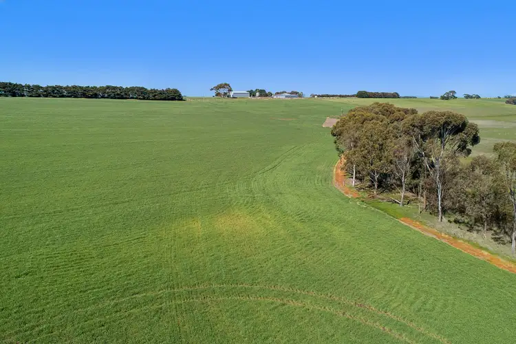 Main view of Homely rural property listing, 739 Lower Darlington Road, Berrybank VIC 3323