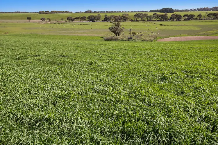 Second view of Homely rural property listing, 739 Lower Darlington Road, Berrybank VIC 3323