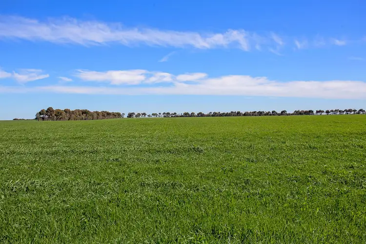 Third view of Homely rural property listing, 739 Lower Darlington Road, Berrybank VIC 3323