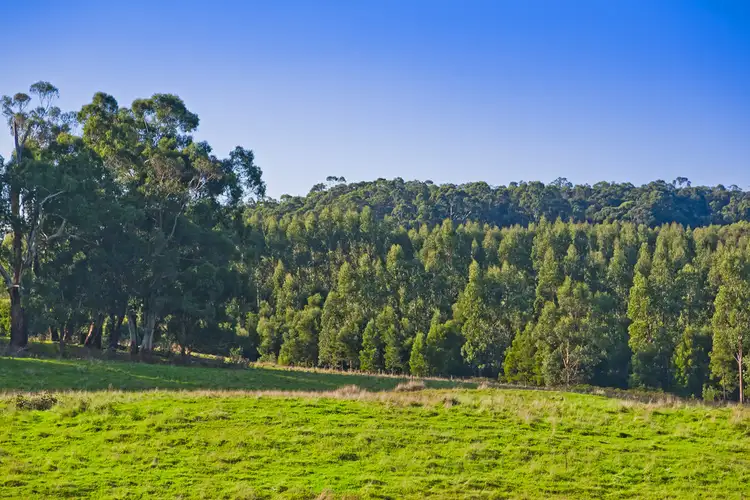 Third view of Homely rural property listing, 385 Escarpment Road, Gellibrand VIC 3239