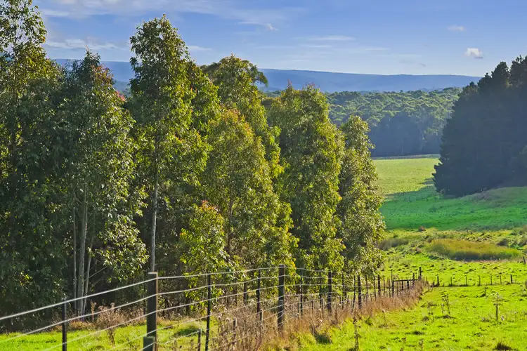 Sixth view of Homely rural property listing, 385 Escarpment Road, Gellibrand VIC 3239