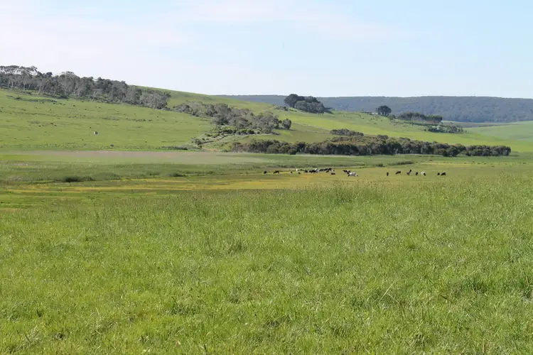 Second view of Homely rural property listing, 10 Fords Access Road, Princetown VIC 3269
