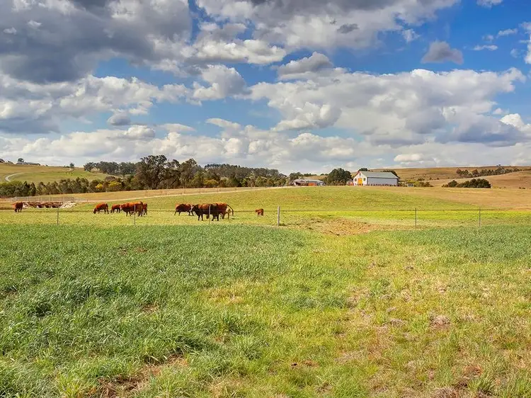 Second view of Homely rural property listing, Address available on request