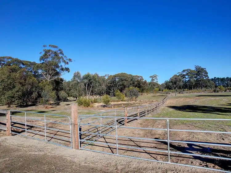 Fourth view of Homely rural property listing, 190 Hanging Rock Road, Sutton Forest NSW 2577