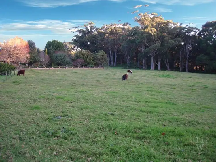 Main view of Homely rural property listing, Laurel Hill Myra Vale, Wildes Meadow NSW 2577
