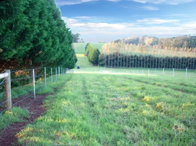 Second view of Homely rural property listing, Laurel Hill Myra Vale, Wildes Meadow NSW 2577