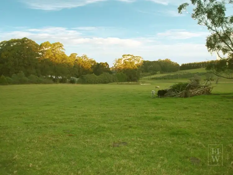 Seventh view of Homely rural property listing, Laurel Hill Myra Vale, Wildes Meadow NSW 2577