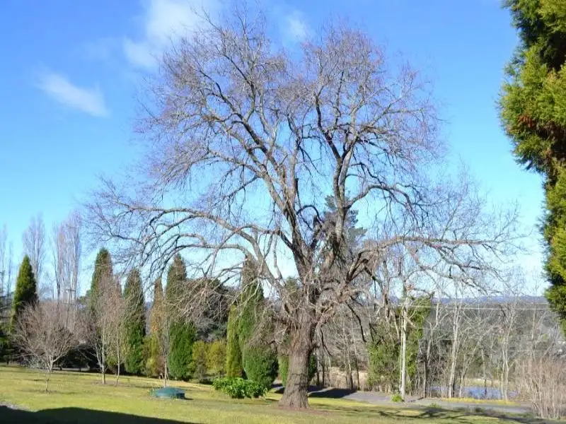 Main view of Homely house listing, 7 Orchard Road, Bowral NSW 2576