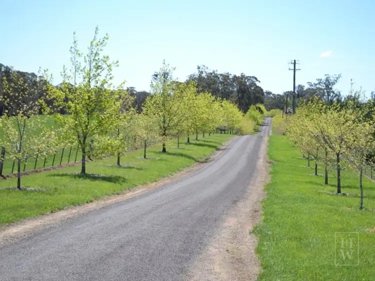 3053 Canyonleigh Road, Sutton Forest NSW 2577