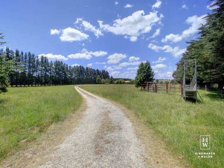 Fifth view of Homely rural property listing, 480 Golden Vale Road, Sutton Forest NSW 2577