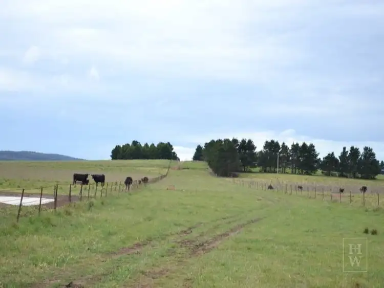 Third view of Homely rural property listing, 2563 'Summer Dell Pastoral' Lumley, Lake Bathurst NSW 2580