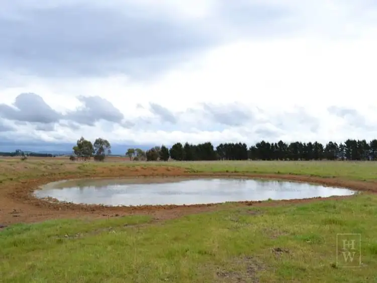 Fifth view of Homely rural property listing, 2563 'Summer Dell Pastoral' Lumley, Lake Bathurst NSW 2580