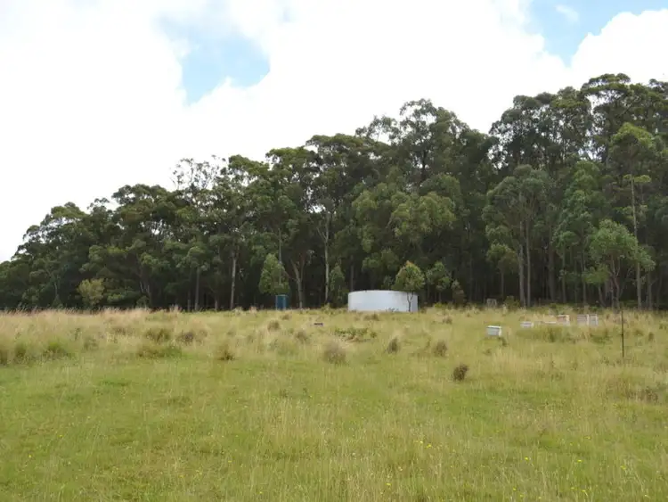 Second view of Homely rural property listing, 196 Brays Road, Meryla NSW 2577