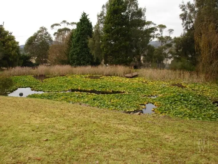 Fourth view of Homely rural property listing, 291 Wombeyan Caves Road, Mittagong NSW 2575