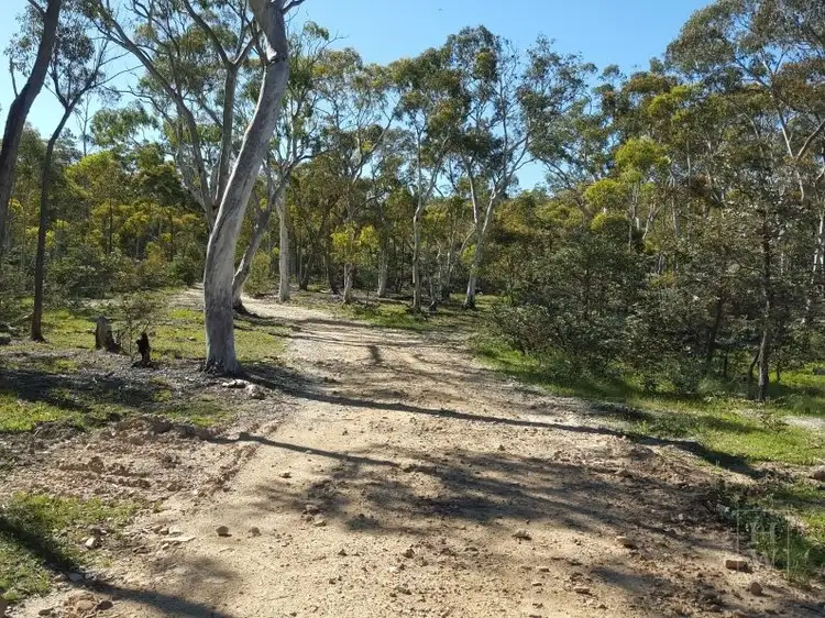 Main view of Homely rural property listing, 199 Tarlo River Road, Greenwich Park NSW 2580