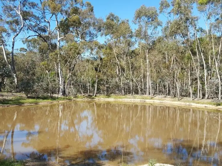 Second view of Homely rural property listing, 199 Tarlo River Road, Greenwich Park NSW 2580