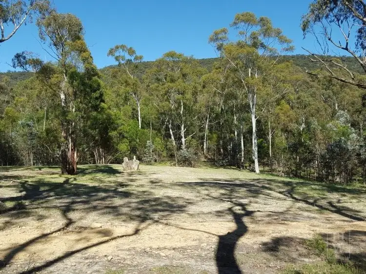 Fifth view of Homely rural property listing, 199 Tarlo River Road, Greenwich Park NSW 2580