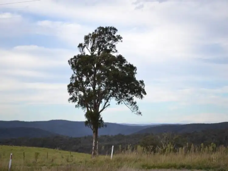 Main view of Homely rural property listing, 81 Burkitt Road, Tallong NSW 2579
