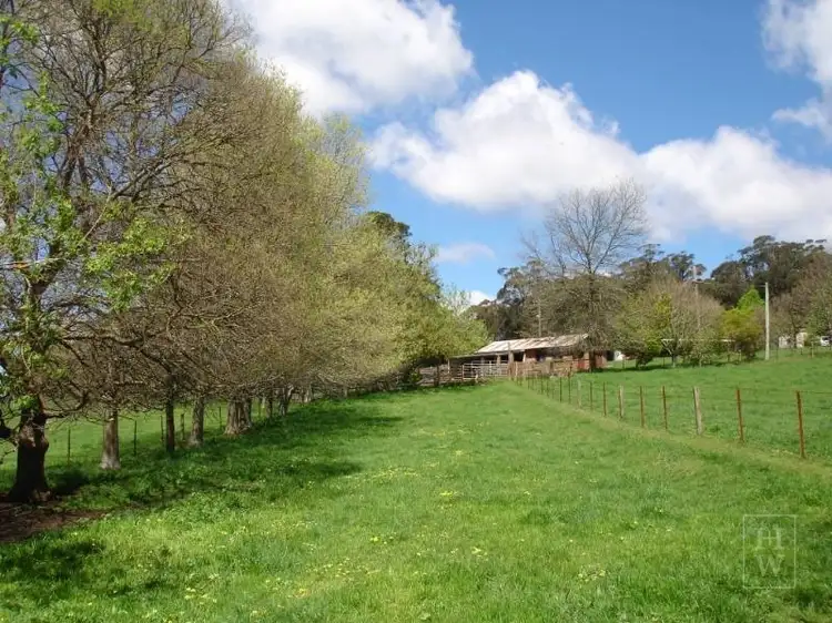 Main view of Homely rural property listing, 170 Walkers Road, Avoca NSW 2577