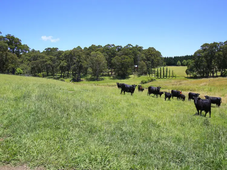 Fourth view of Homely rural property listing, 27 Ringwood Lane, Exeter NSW 2579