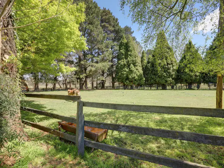 Third view of Homely rural property listing, 925 Nowra Road, Fitzroy Falls NSW 2577