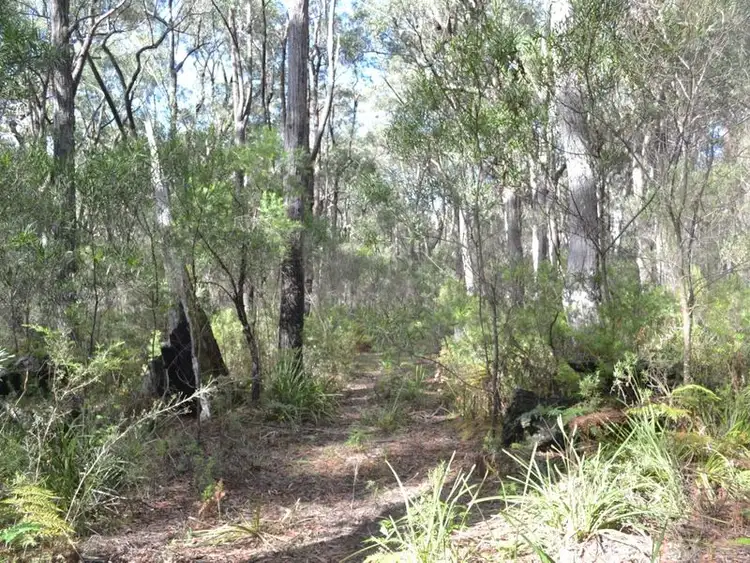 Second view of Homely rural property listing, 1036 Meryla Road, Meryla NSW 2577