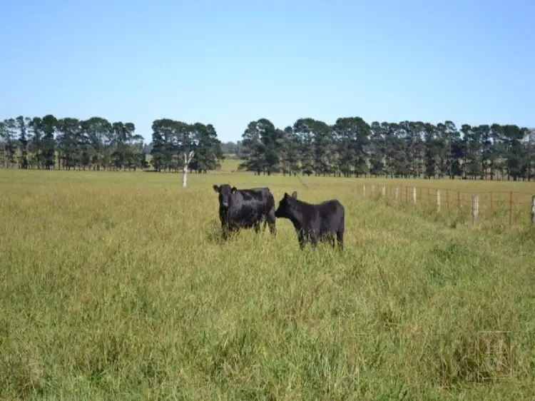 Second view of Homely rural property listing, 302 Sproules Lane, Bowral NSW 2576