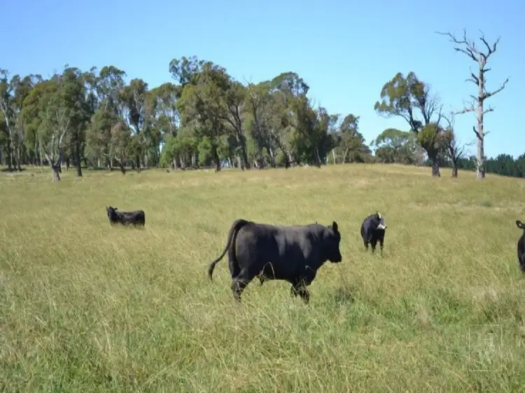 Third view of Homely rural property listing, 302 Sproules Lane, Bowral NSW 2576