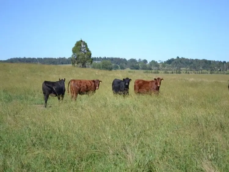 Fourth view of Homely rural property listing, 302 Sproules Lane, Bowral NSW 2576
