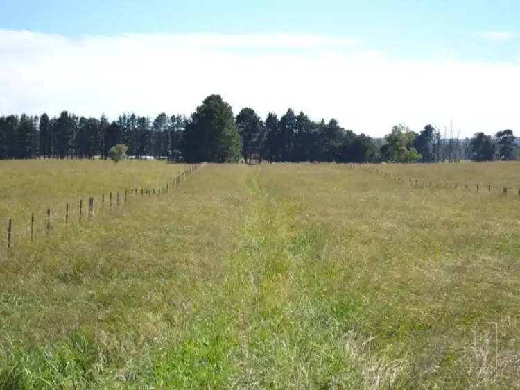 Fifth view of Homely rural property listing, 302 Sproules Lane, Bowral NSW 2576