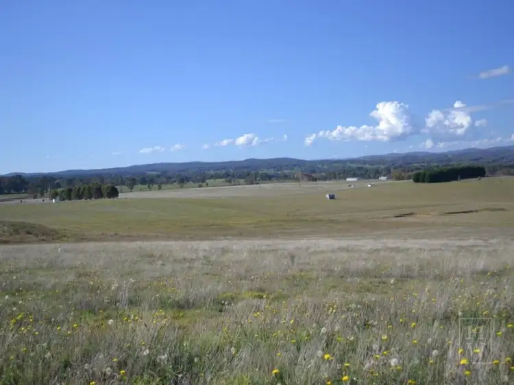 Fourth view of Homely rural property listing, Lot 99 Coppabella Road, Rosewood NSW 2652