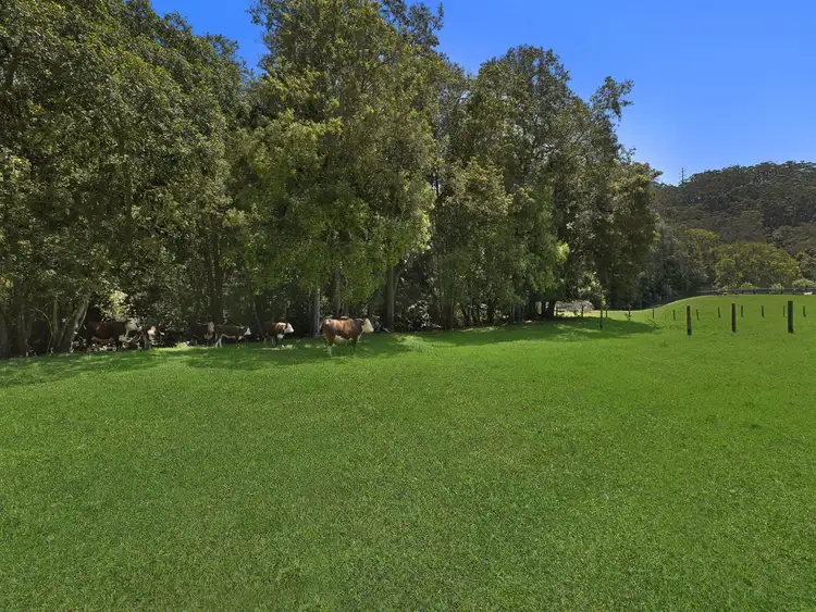 Fifth view of Homely rural property listing, 36c Howes Road, Ourimbah NSW 2258