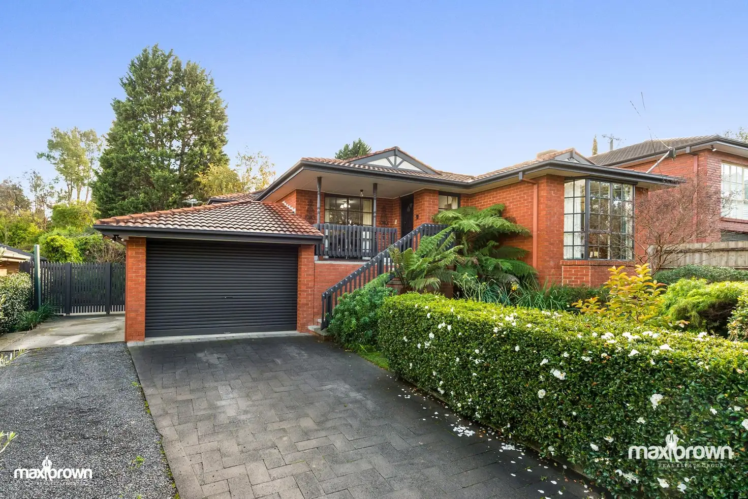 Main view of Homely house listing, 12 Wellington Park Drive, Warranwood VIC 3134