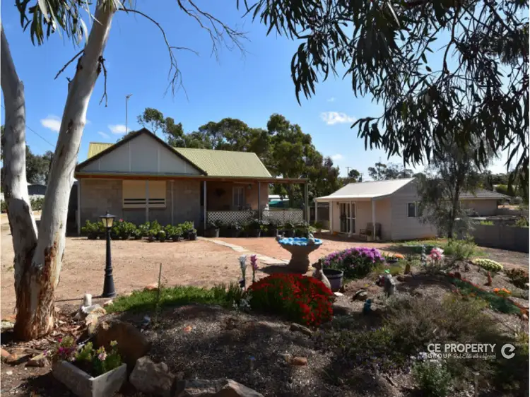 Main view of Homely house listing, 37 Walker Avenue, Mannum SA 5238