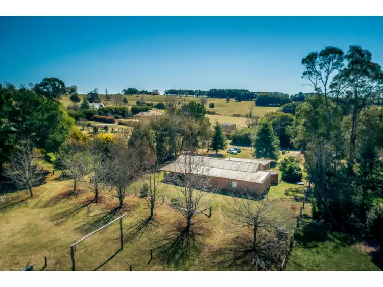 37 Hayden Street, Dorrigo NSW 2453